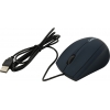 CANYON Mouse <CNE-CMS05BL> (RTL)  USB 3btn+Roll