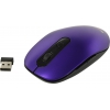 CANYON Wireless Optical Mouse <CNS-CMSW09V> (RTL)  USB 6btn+Roll