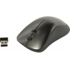 CANYON Wireless Optical Mouse <CNS-CMSW911DG> (RTL)  USB 3btn+Roll