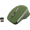 CANYON Wireless Optical Mouse <CNS-CMSW21SM>  (RTL)  USB  7btn+Roll