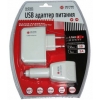 Комплект USB адаптеров питания AcmePower CH-P1625+CH-P1630 (Вх.100-240/12V, Вых.5V, 2A) сетевой +автомобильный