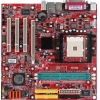 M/B MSI  MS-7145 RS482M-L (OEM)Socket754<ATI XPRESS 200>PCI-E+SVGA+LAN SATARAID MicroATX 2DDR<PC-3200>