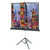 Экран DA-LITE Versatol 70x70 Matte White (178х178 см)