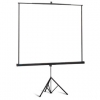 Экран на треноге Projecta Professional (200x200см) Matte White S, Case Dark Grey <10400052>