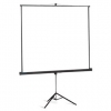 Экран на треноге Projecta ProView (160x160см) Matte White S, Case Dark Grey <10400076>