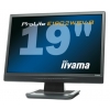 19"    MONITOR  IIYAMA ProLite E1902WSV-B1 <Black> (LCD, Wide, 1440x900)