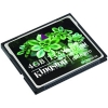 Kingston CompactFlash Card 4Gb 133x
