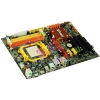 M/B EliteGroup GF8200A rev1.0 (RTL) SocketAM2+<GeForce 8200>PCI-E+SVGA+GbLAN SATA RAID ATX 4DDR-II