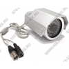 Video Camera <YC-25P> Color CCD Camera (420TVL, Color, PAL, 30 LED)