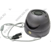 Video Camera DP-955V Color CCD Camera (480TVL, 30 LED)