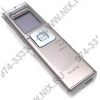 Panasonic RR-US750 <Silver> цифр. диктофон (8700 мин, 1Gb, LCD, USB)