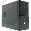 Minitower 3Q <001A> Black microATX  450W (24+4+6пин)