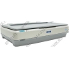 Epson GT-20000 (CCD, A3 Color, 600x1200dpi, SCSI/USB2.0)