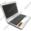Samsung R460 <NP-R460-FSS8> P8400(2.26)/3072/250/DVD-RW/GF9200MGS/GbLAN/WiFi/BT/cam/VistaHP/14.1"WXGA/2.33 кг