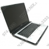 TOSHIBA Satellite L300-15V-RU CM560(2.13)/2048/160(5400)/DVD-RW/WiFi/cam/noOS/15.4"WXGA/2.64 кг