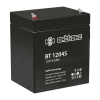 Аккумуляторная батарея BattBee BT 12045