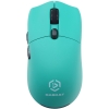 Мышь Raskat MG006TR