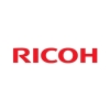 Аксессуары к печатной технике Ricoh Наклейка с названием бренда Ricoh тип S9 (409213)