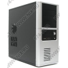 Miditower ASCOT 6AR6-M/400 v2.2 Black-Silver ATX  400W  (24+4+6пин)