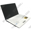 RoverBook B582(GS) <GPB06555> CM550(2.0)/2048/250/DVD-RW/GF9300MGS/WiFi/cam/Linux/15.4"WXGA/2.60 кг