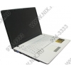 RoverBook B582(GS) <GPB06572> T8100(2.1)/4096/320/DVD-RW/GF9300MGS/WiFi/cam/VistaHB/15.4"WXGA/2.64 кг