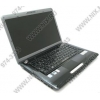 TOSHIBA Satellite A300-1MT-RU T3200(2.0)/3072/250(5400)/DVD-RW/WiFi/BT/cam/VistaHP/15.4"WXGA/2.80 кг