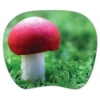 Коврик для мыши PC Pet MP-TOM TURBO Mushroom MP-TMMU рисунок (MP-TMMU TURBO (MUSHROOM))