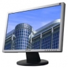 Монитор Samsung TFT 19" 920NW (HANKSM) silver wide 5ms (LS19HANKSM)