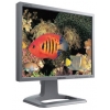 Монитор Samsung TFT 21" 214T (BRBAS) silver PVA (8ms GTG) DVI HAS Pivot <LS21BRBAS>