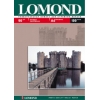 Бумага Lomond 0102029 A4/90г/м2/25л./белый матовое для струйной печати