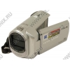 SONY DCR-SX40E <Silver> Digital Handycam Video Camera (0.8Mpx, 60xZoom, стерео, 2.7", 4Gb + 0Mb MS Duo, USB2.0)