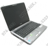 TOSHIBA Satellite Pro U400-205-RU P7450(2.13)/3072/320(5400)/DVD-RW/WiFi/BT/cam/VistaBus+XP Pro/13.3"/2.07 кг