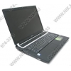 RoverBook Pro P740(GS) <GPB06693> P8600(2.4)/4096/160/DVD-RW/GF9600/GbLAN/WiFi/BT/cam/VistaHBx64/17.1"/3.17кг