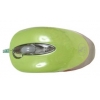Мышь A4 X5-28D-3 green optical Dual Focus Run On Shine 2X USB