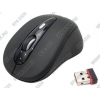 Defender Wireless Optical Mouse <Rider Nano 215> Black (RTL) USB 3btn+Roll беспр., уменьшенная<52821>