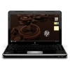 Ноутбук HP dv3-2110er P7450/3GB/320/GF G 105M 512M/DVDRW/WiFi/BT/VHP/13.4"HD AG/Cam/6C Bat (NZ876EA)