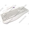 Клавиатура OKLICK Office Keyboard 340M Lite White <PS/2> 107КЛ <500841-PS/2>