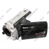Panasonic HDC-SD10-K <Black> (AVCHD1080,1.47Mpx, 16x Zoom, стерео, 2.7",SD/SDHC, USB2.0/HDMI)