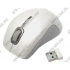 hp <NU565AA> Wireless Comfort Mobile Mouse (RTL) USB 5btn+Roll, уменьшенная