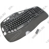 Клавиатура Logitech Cordless Wave Black <USB> 105КЛ+16М/Мед <920-001679>