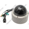 TRENDnet <TV-IP252P> SecurView PoE Dome Internet Camera (LAN, 640x480,  color, BNC)
