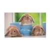 Коврик для мыши  Buro BU-SBD126/RS (Rabbits) каучук+ткань  410 х 250 х 1.5 мм