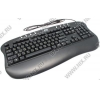 Клавиатура BTC 5213 Black Ergo <USB> 104КЛ+8КЛ М/Мед