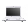 Субноутбук ViewSonic VNB100 Atom N270/1G/160GB/WiFi/XpHome/10.1"ACB/Cam белый <VNB1001300RR-E>