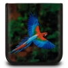 Портмоне PC PET на 24CD/DVD Bird (CDW-24BD)