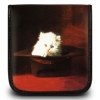 Портмоне PC PET на 32CD/DVD Kitty (CDW-32KY)