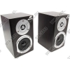 Колонки AVE D10 <Black> (2x4W, дерево)