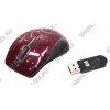hp <NP143AA> Wireless Comfort Mouse (RTL) USB 5btn+Roll