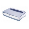 Сканер Epson GT-20000N Pro (CCD, A3 Color, 600x1200dpi,SCSI/USB2.0, ADF, сетевой) (B11B195021NP)