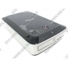 Canon DW-100 (H.264 DVD-RW HD recorder, USB-in)